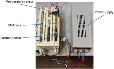 Two-Stage Shape Memory Alloy Identification Based on the Hammerstein–Wiener Model